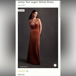 Jenny Yoo Logan Velvet Dress